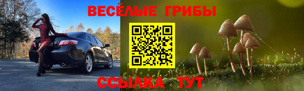 Нефтекамск  Галлюциногенные грибы Psilocybine cubensis  Вход с VPN 